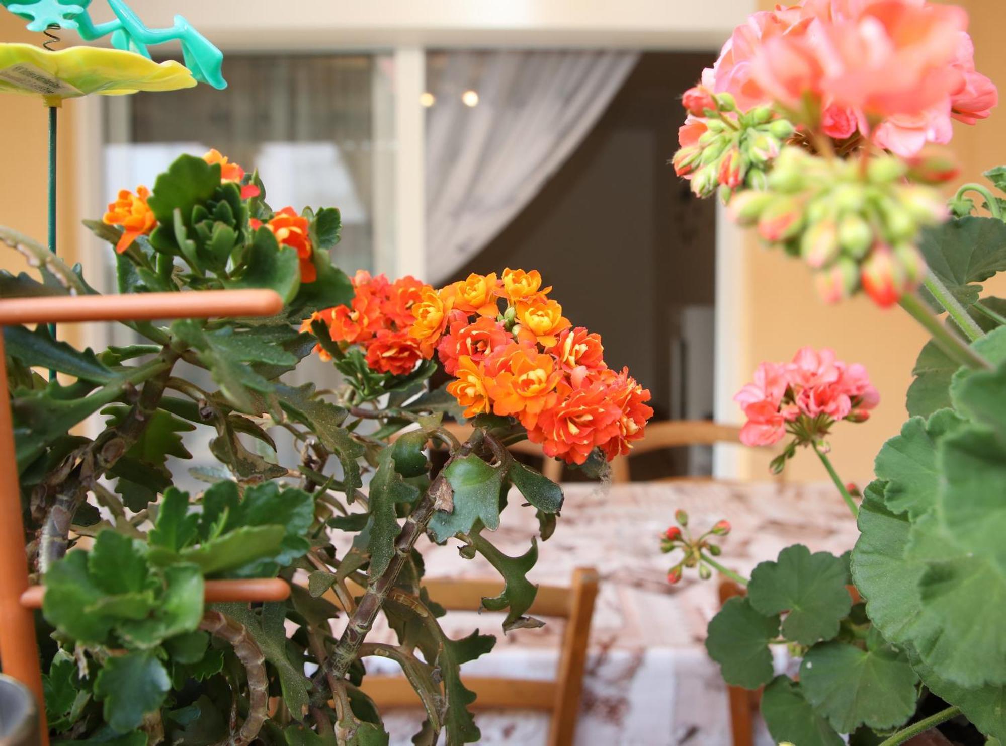 Appartement Tadijic